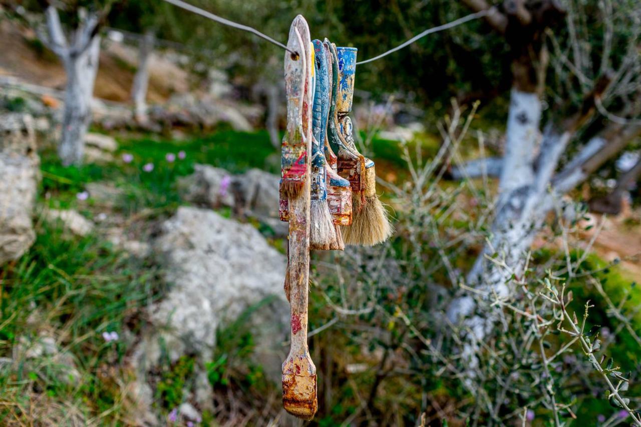 Art Studio Kefalonia Dhavgáta Exteriör bild